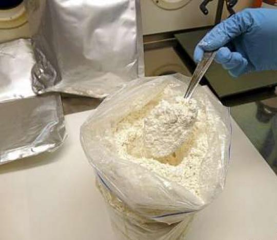 Microdose 4-AcO-DMT Deadhead Chemist - Image 2