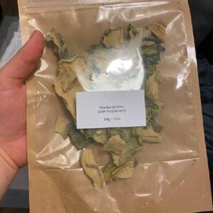 Buy Peyoto Online All States USA,Peyoto for sale online USA,where to buy Peyoto online USA,Order Peyoto online USA