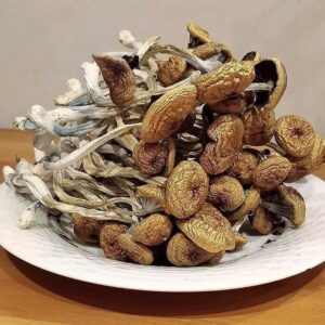 Buy DMT Cartridges Online All States USA, Buy Shrooms Online All States USA, Buy LSD Online All States USA, Buy MDMA Online All States USA,
